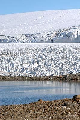 Novo Glaciers & Lake - by Jen Winter