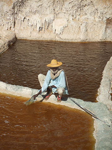 BilmaSalines