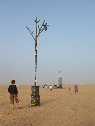 TenereTree