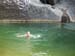 SwimmingTimia