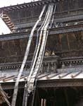 IMG_5567