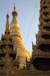 Schwedagon11