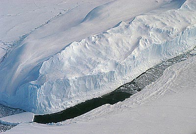 Berg15w
