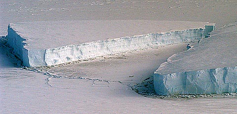 Berg18w