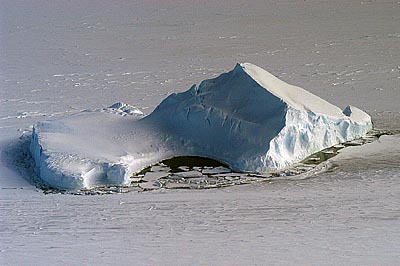 Berg19w
