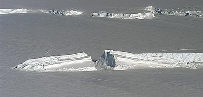 Berg57w