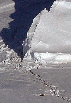 IcebergBuddyW