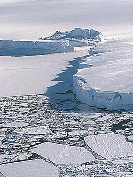 Sea Ice & Iceberg - by Jen Winter