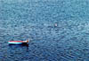 lobnelyboat