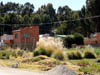 DSC00043