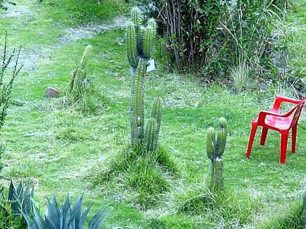 DSC00105