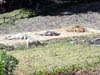 DSC00050