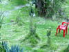 DSC00105